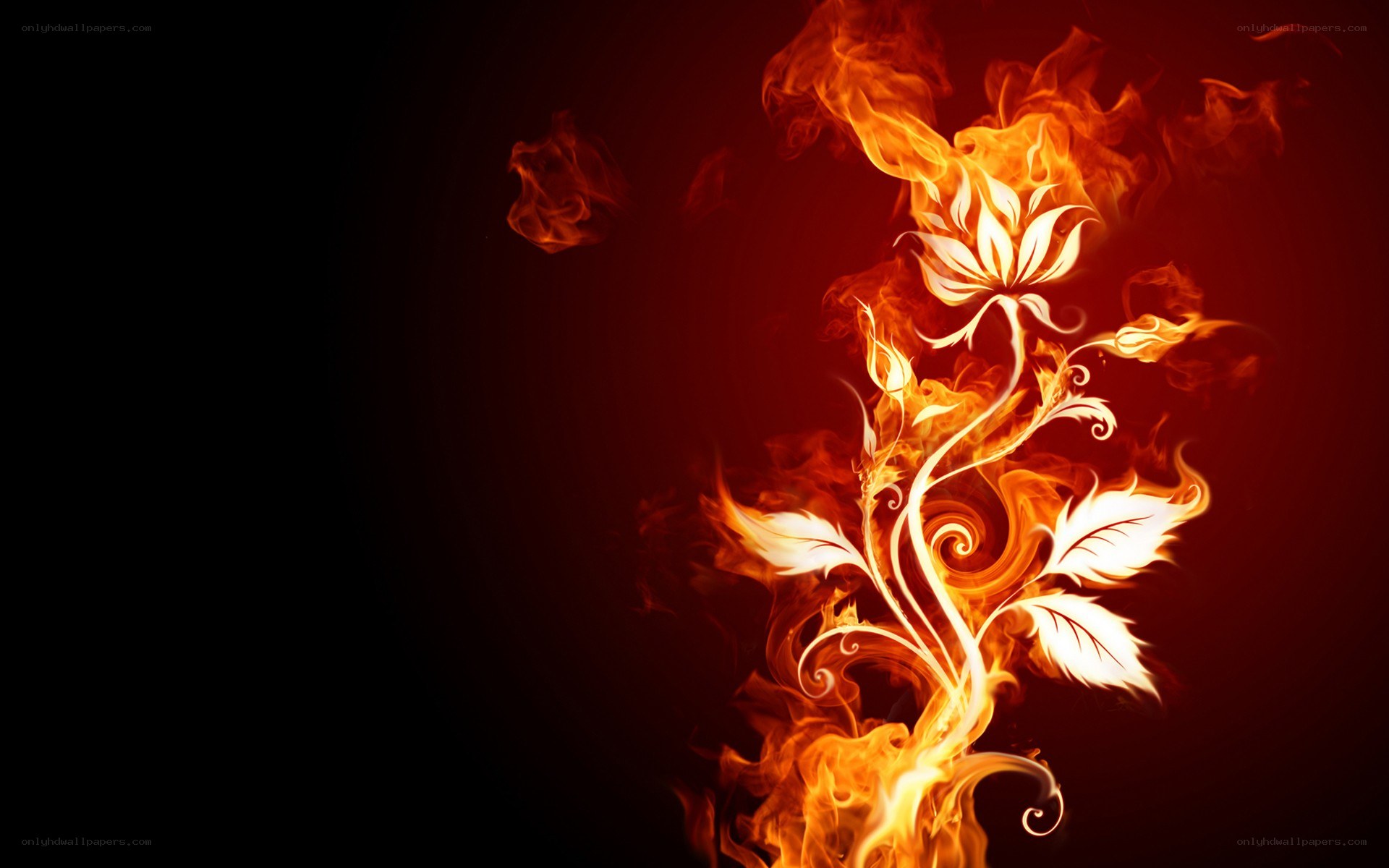 flame flower art