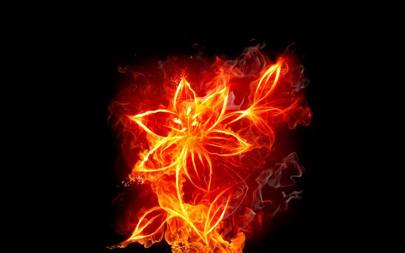 flame flower art