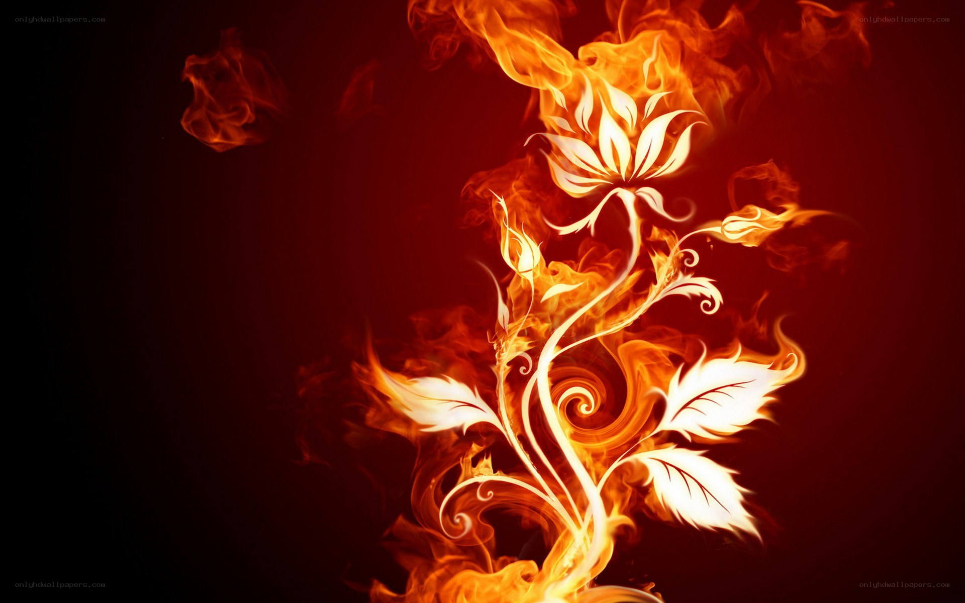 Flame flower art