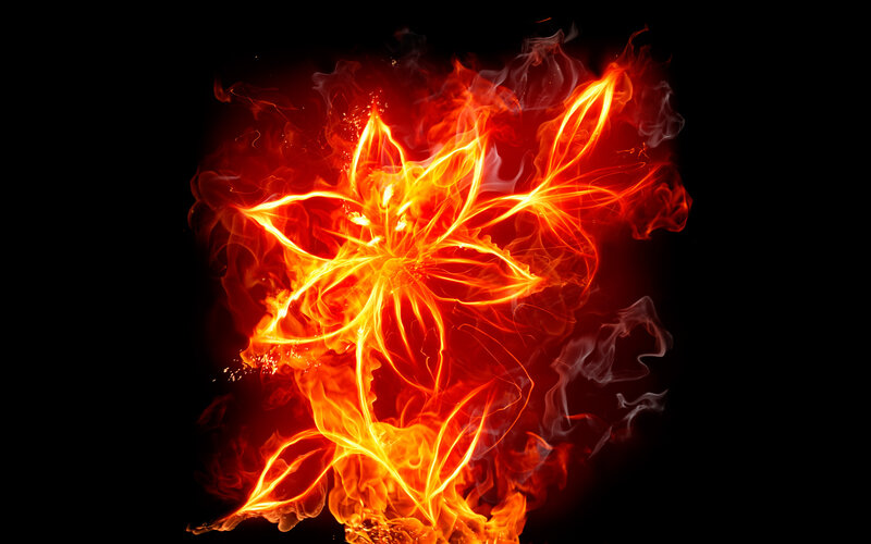 Flame flower art