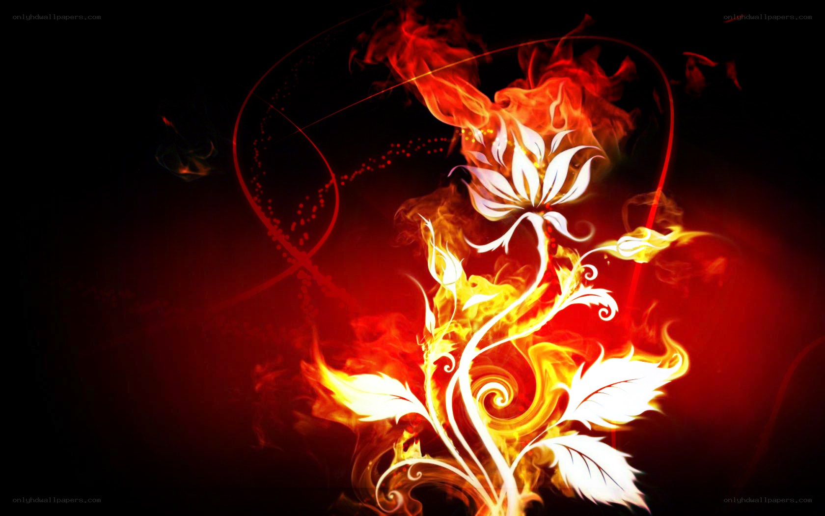 Flame flower art