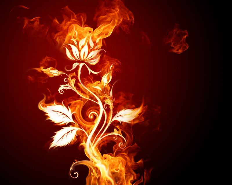 Flame flower art