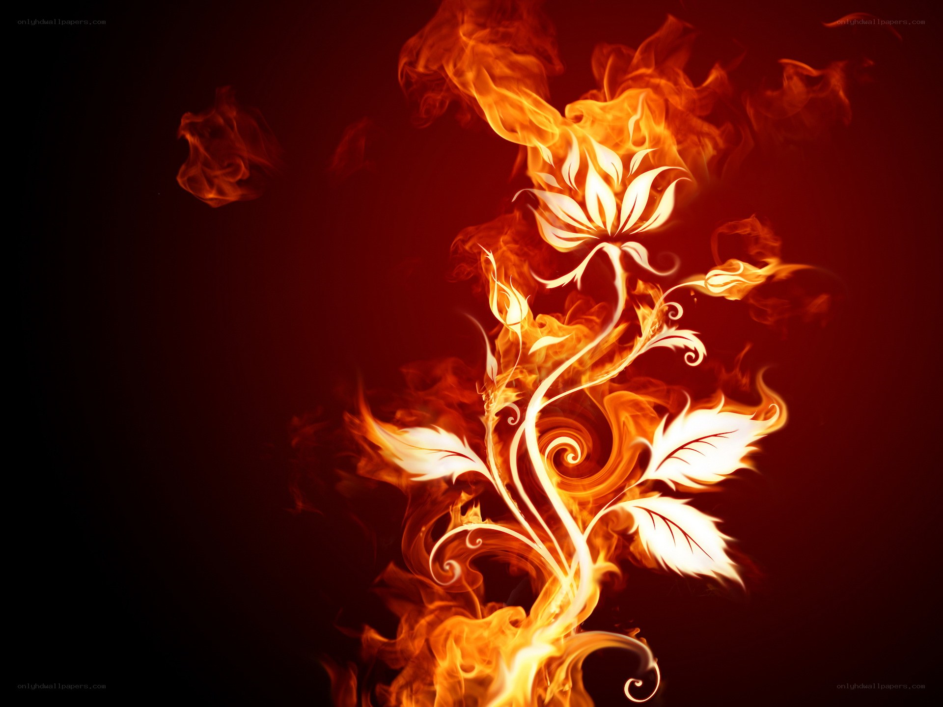 Flame flower art