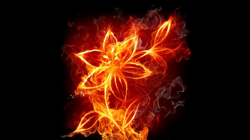 Flame flower art