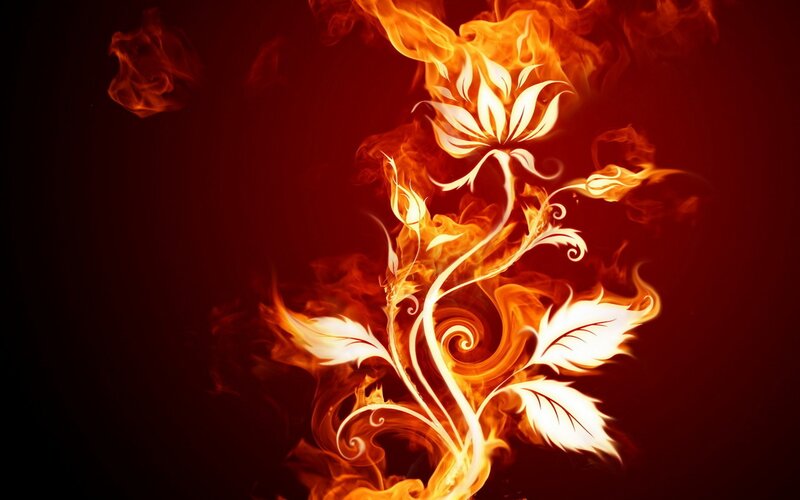 Flame Flower Design — Digital Art