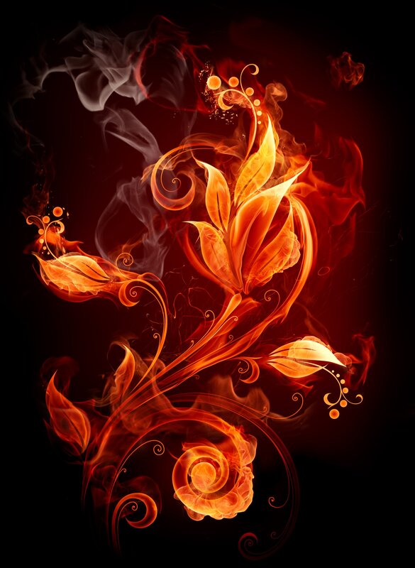 Flame Flower Design — Red, Dramatic, Digital Art, Fire, Smoke, Leaves
