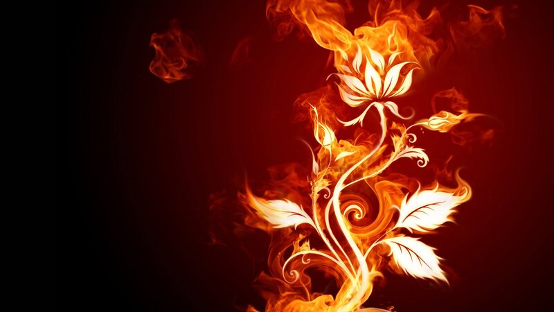 Flame Flower Design — Red, Dramatic, Digital Art, Fire