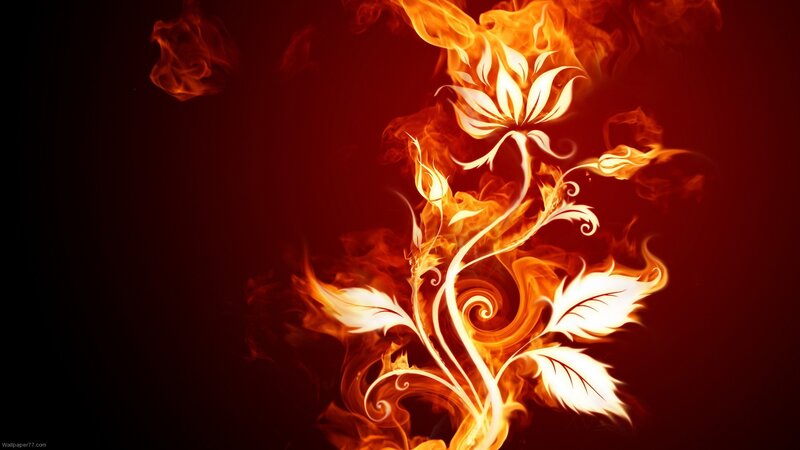 Flame Flower Design — Red, Dramatic, Digital Art
