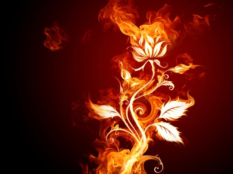 Flame Flower Design — Red, Fire