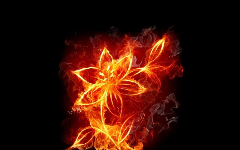 Flame Flower — Digital Art