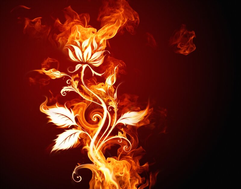 Flame Flower Illustration — Red, Dramatic, Digital Art, Fire, Smoke, Stem, Orange