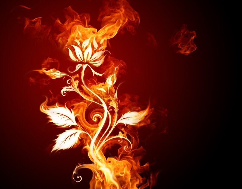 Flame Flower Illustration — Red