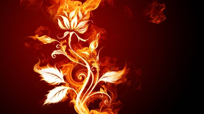 Flame Flower Illustration