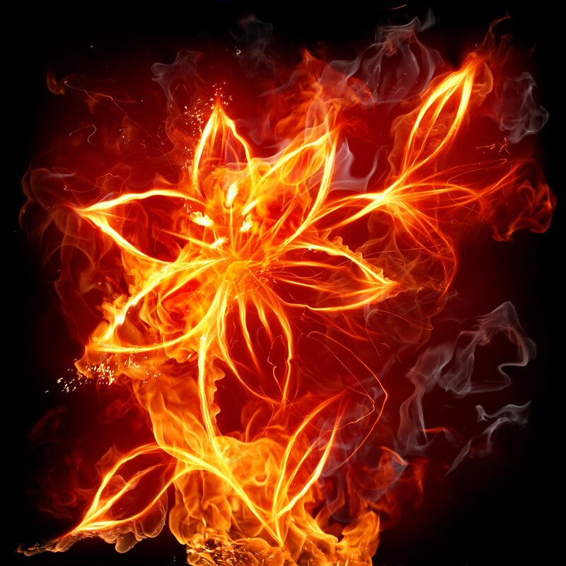 Flame Flower — Orange, Dramatic, Digital Art