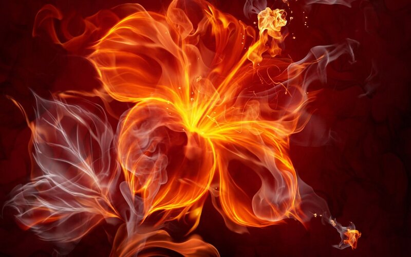 Flame Flower — Red, Dramatic, Digital Art, Fire, Smoke, Petals, Orange, Yellow