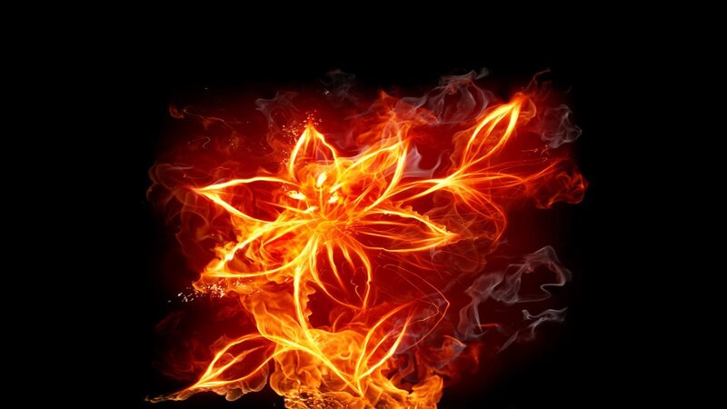 Flame Flower — Red, Dramatic, Digital Art, Fire