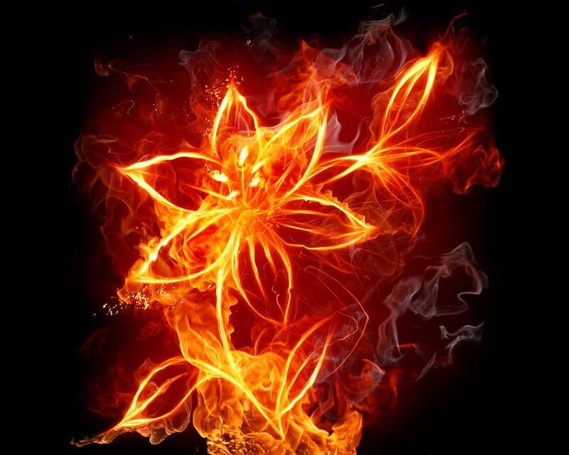 Flame Flower — Red, Dramatic, Digital Art