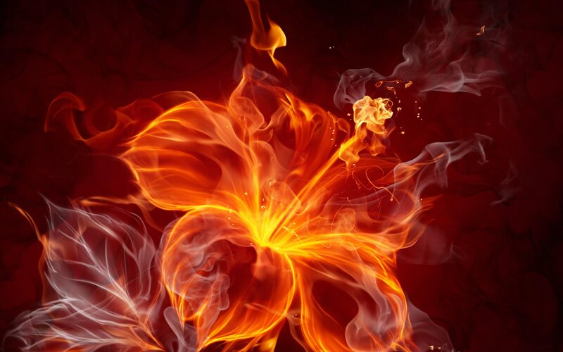 Flame Flower — Red, Dramatic