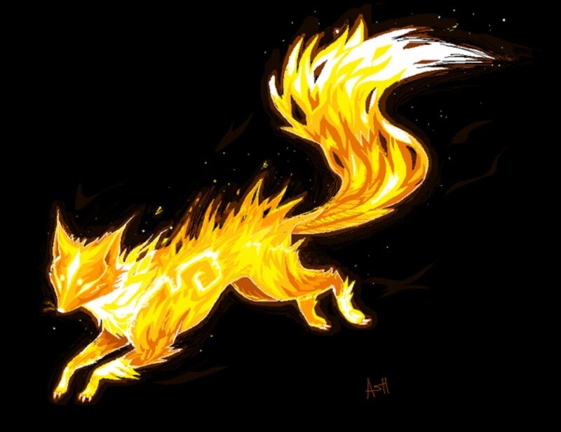 Flame Fox in Motion — Black