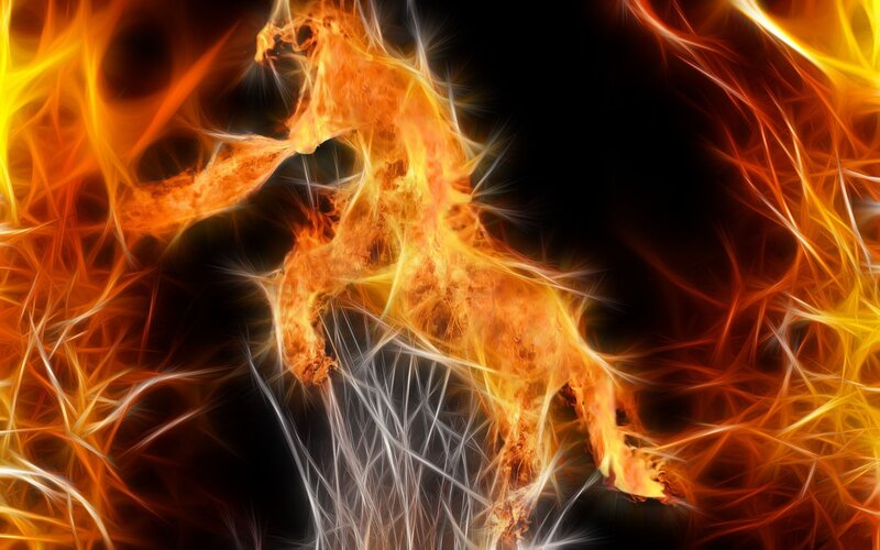 Flame Horse