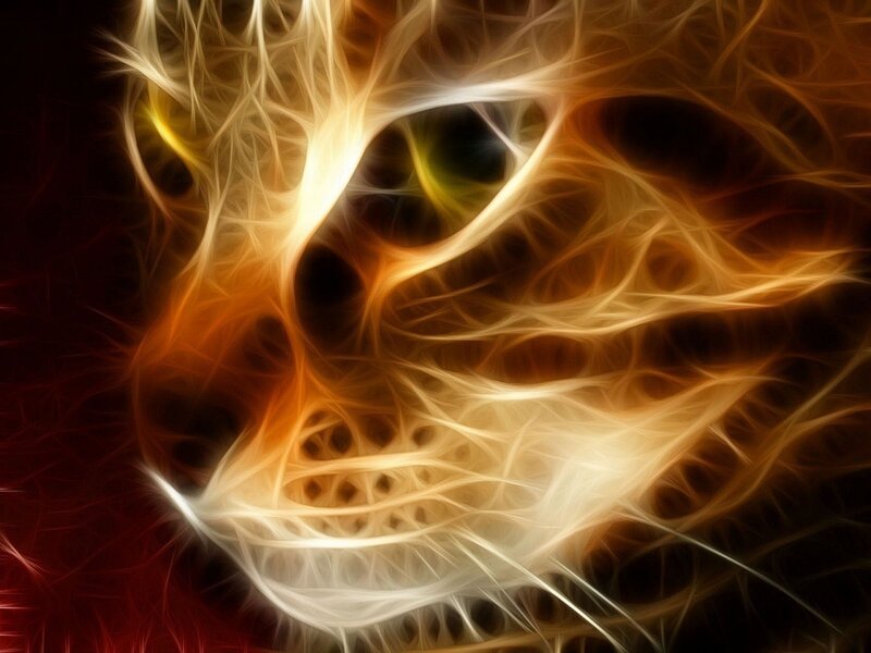 Flame-like Cat Face — Orange