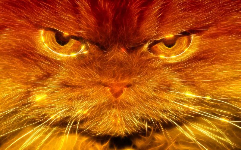 Flame-like Cat Face