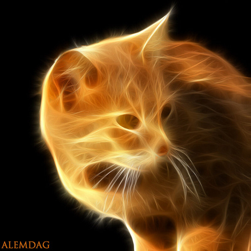 Flame-like Cat Head