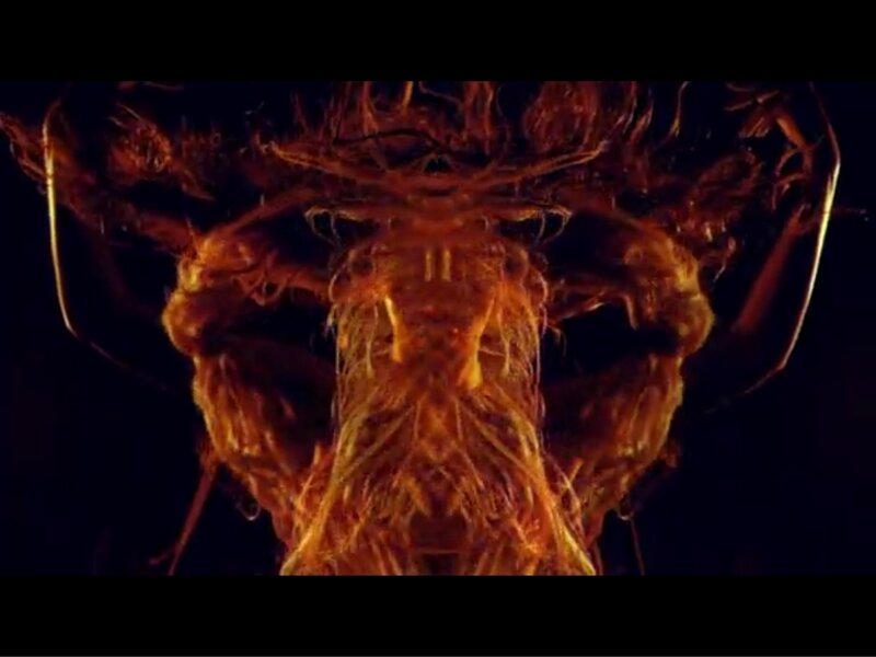 Flame-like Creature — Orange
