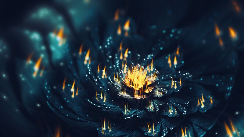 Flame-like Flower — Black