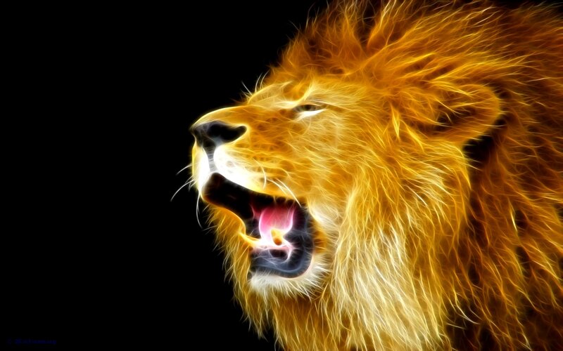 flame lion roaring