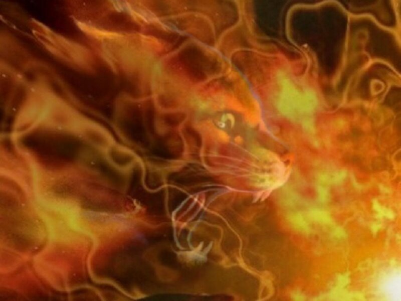 flame lion spirit