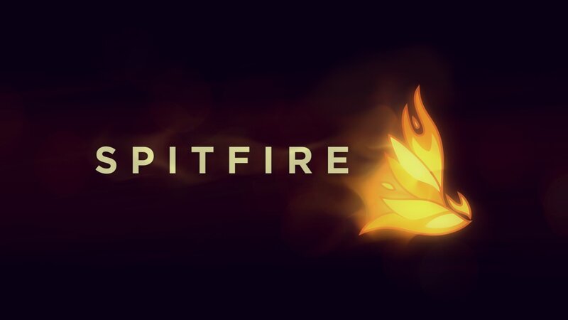 Flame Logo