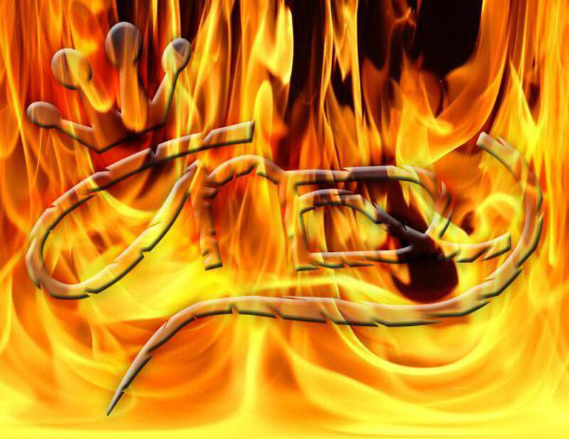 flame logo with crown