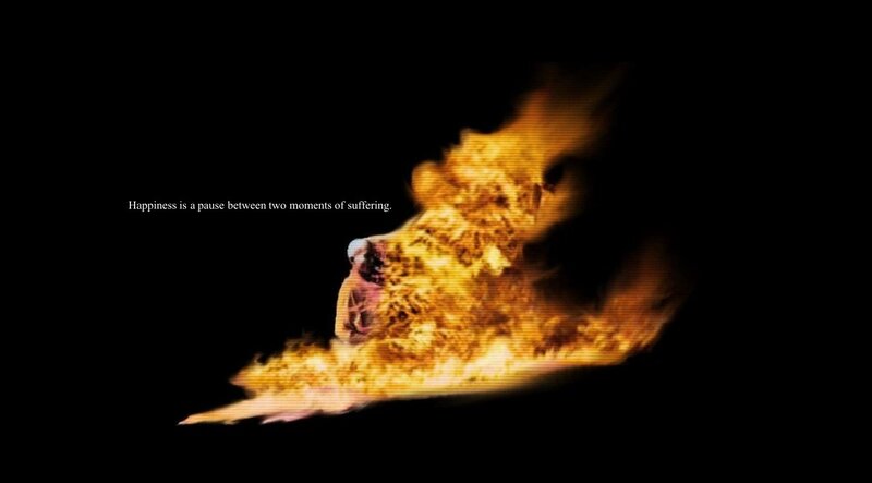 Flame on Black Background — Dramatic