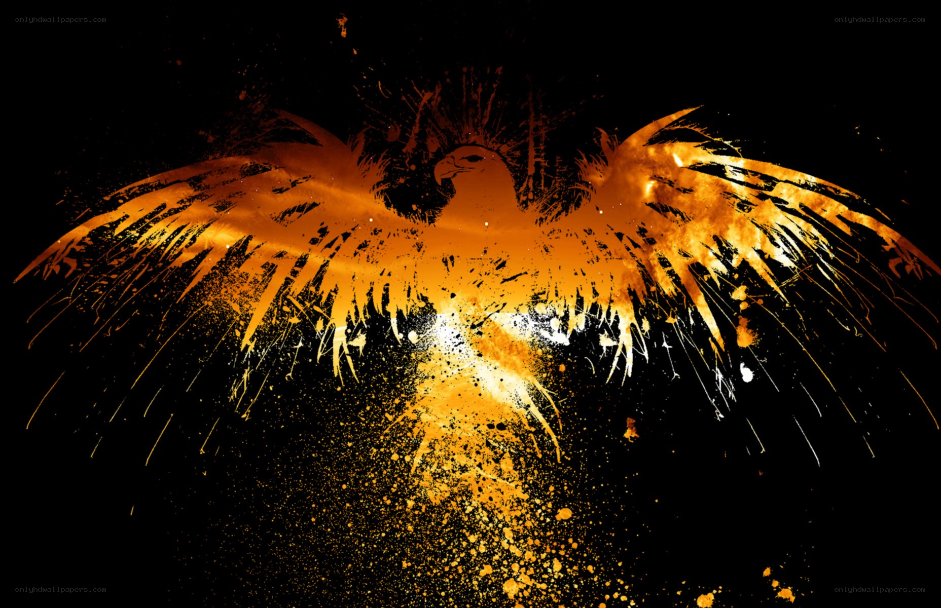 flame phoenix artwork