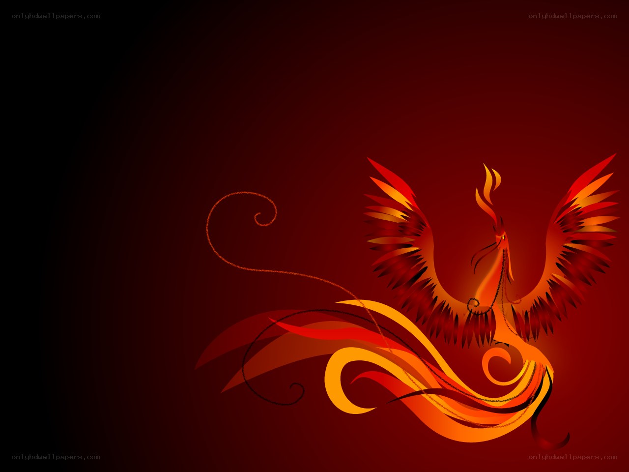 flame phoenix artwork