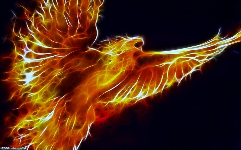 Flame Phoenix in Flight — Orange