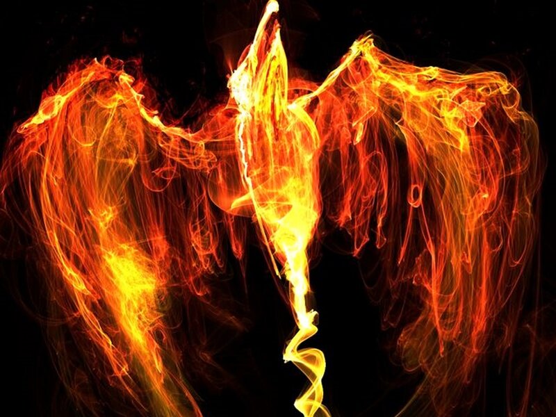 Flame Phoenix Wings