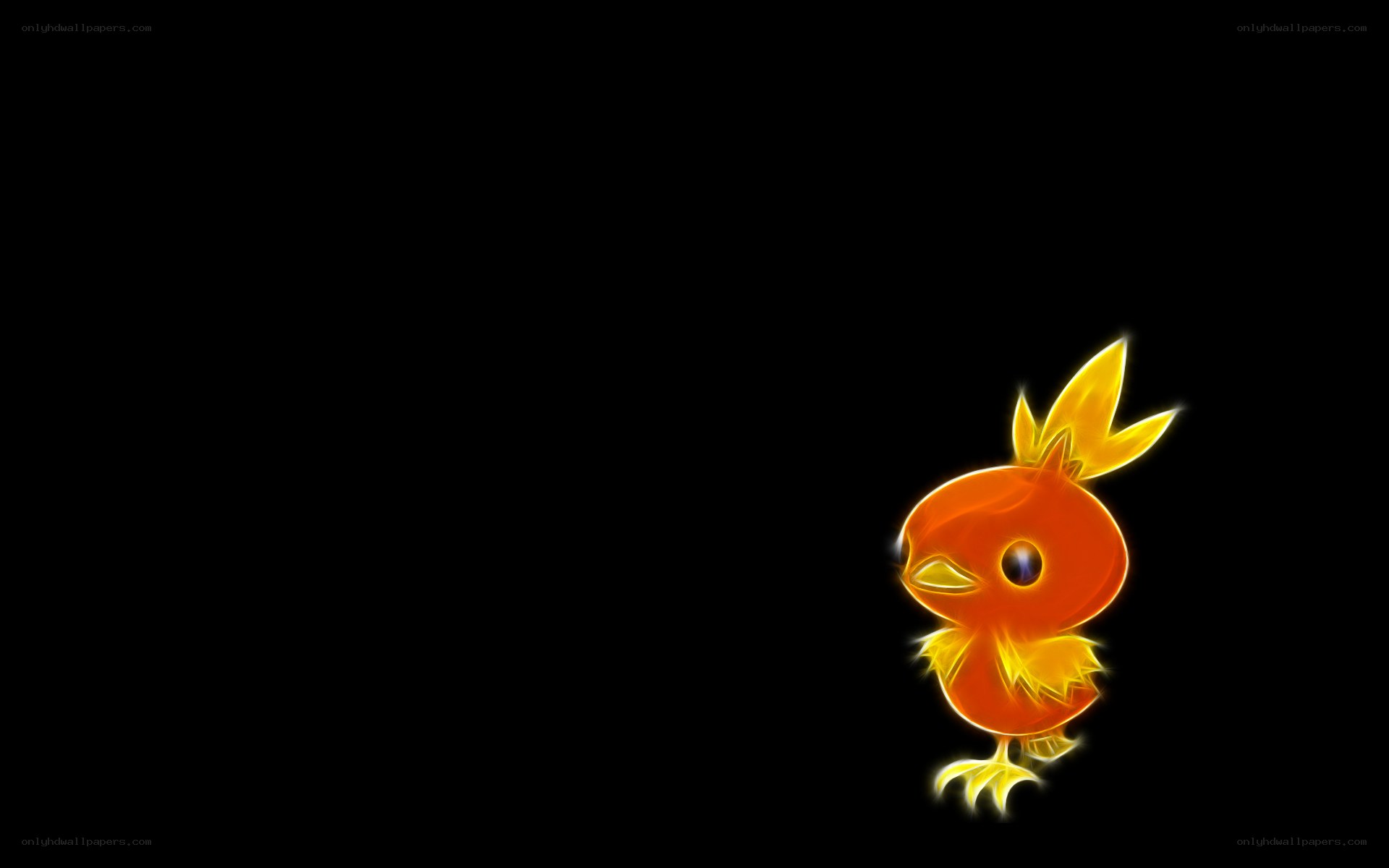 Flame Pokémon on black