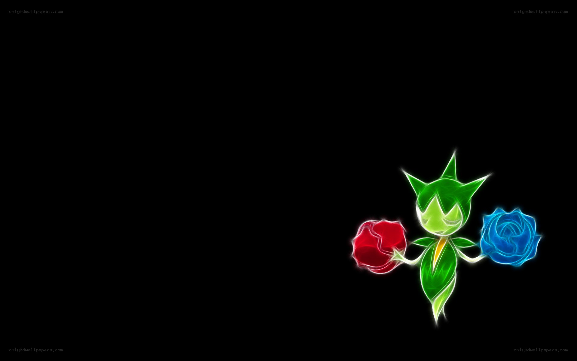 Flame Pokémon with roses