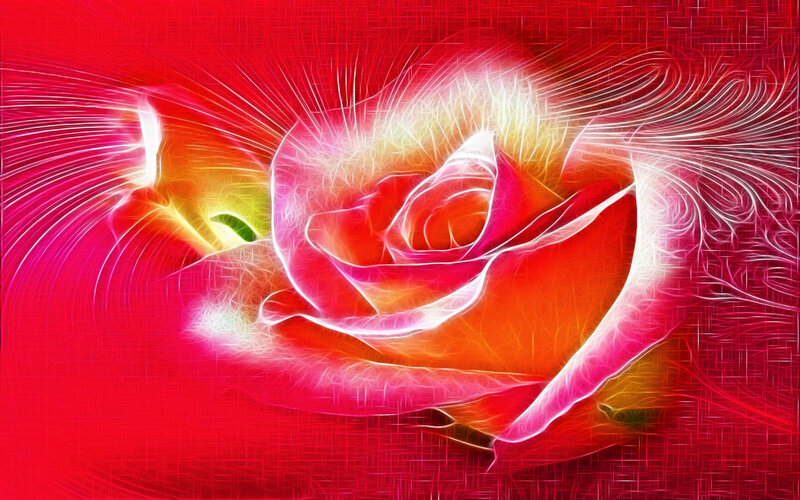 Flame rose abstract art