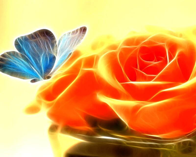 Flame Rose and Butterfly