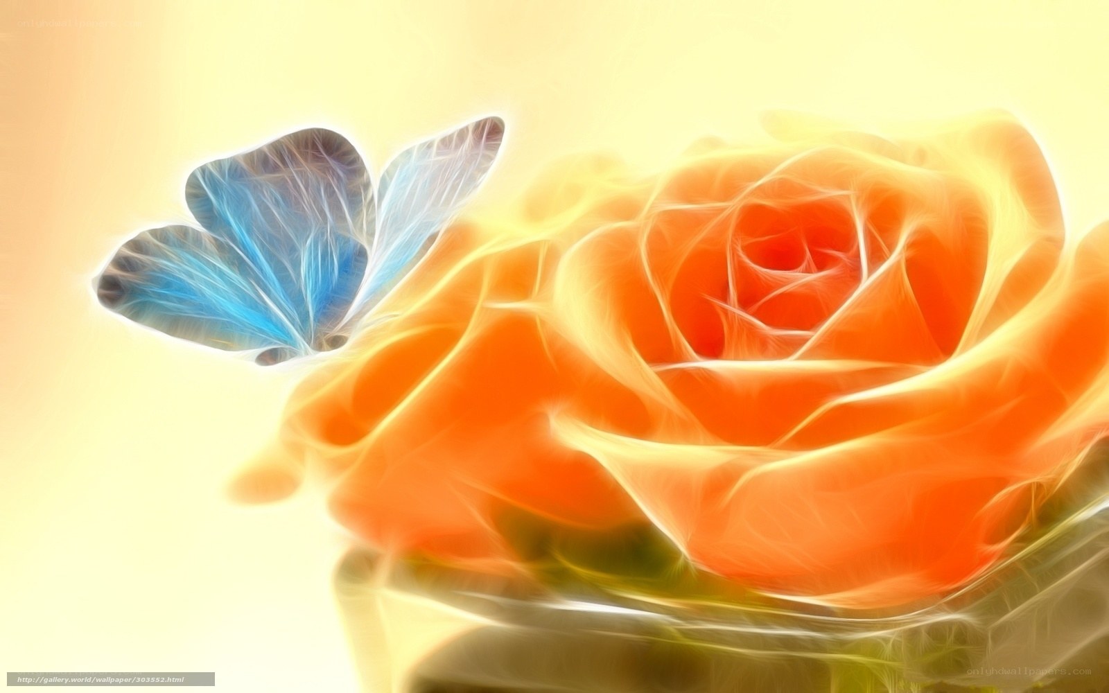 Flame rose with blue butterfly
