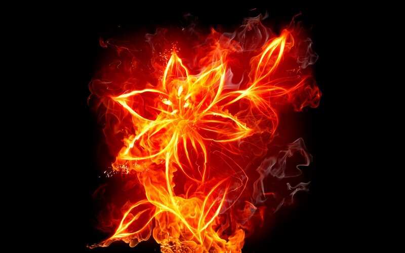 Flame-shaped Flower — Red, Dramatic, Digital Art