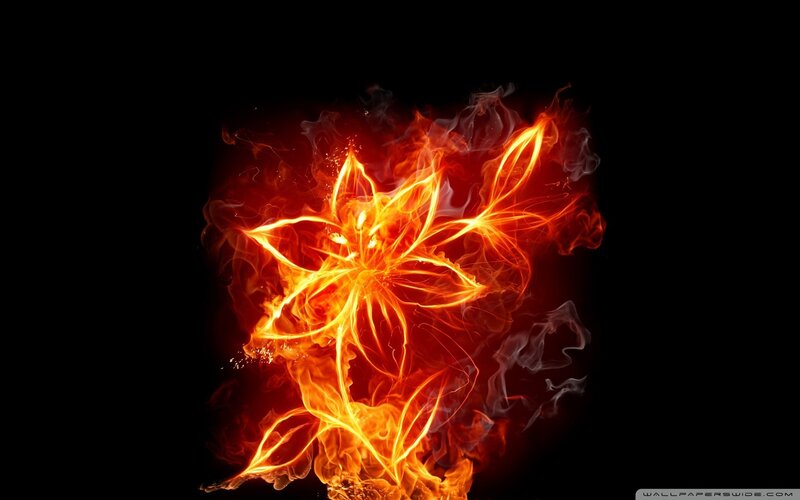 Flame-shaped Flower — Red, Dramatic