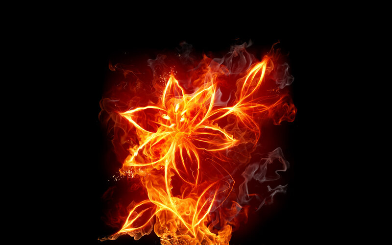 Flame-shaped Flower