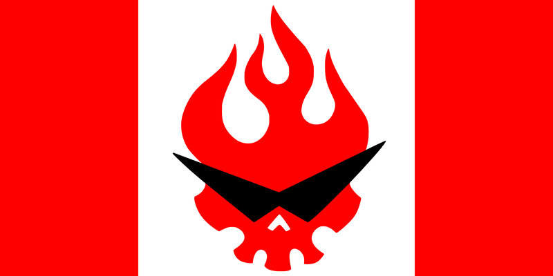 flame skull logo on flag
