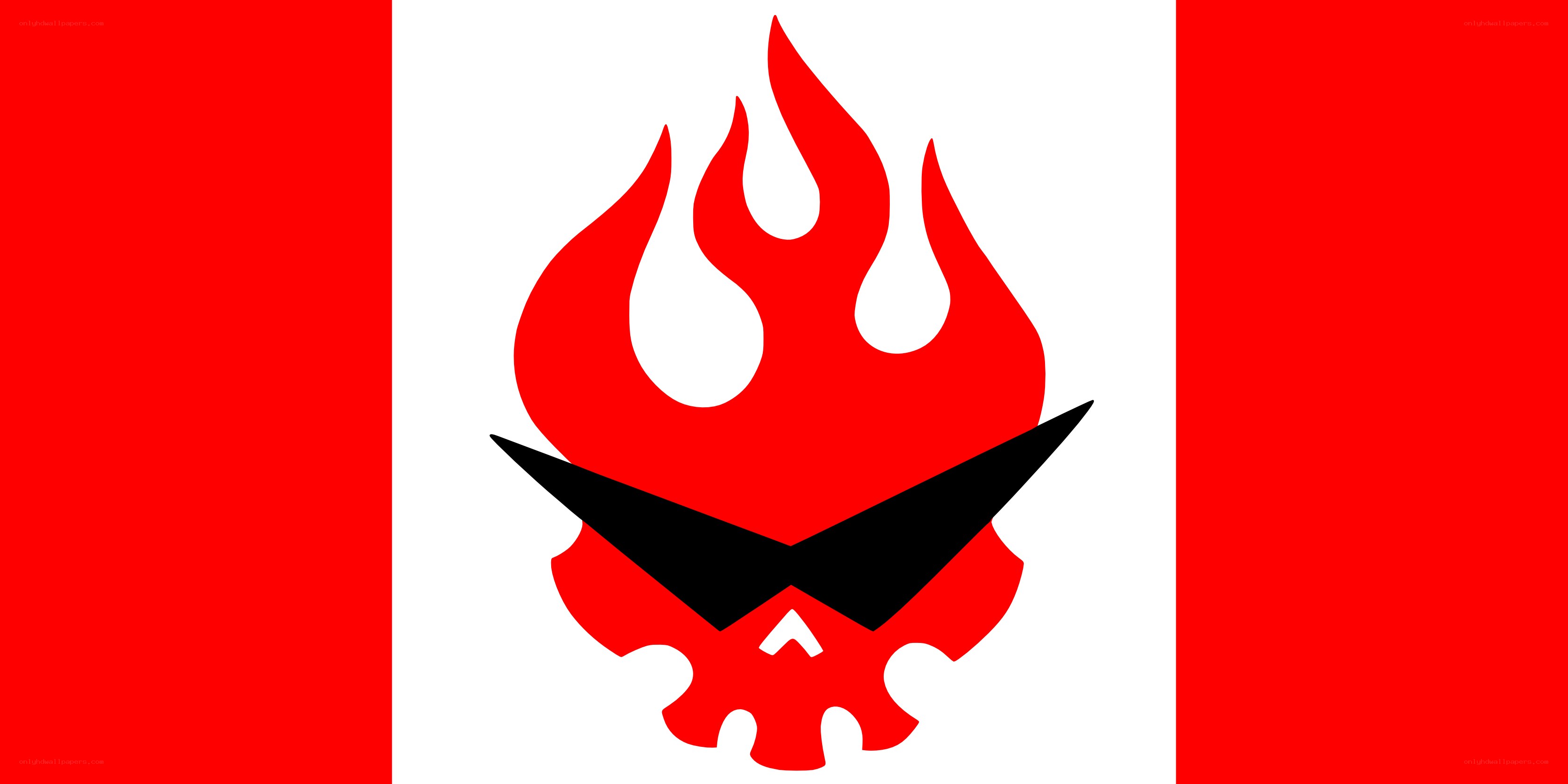 flame skull logo on flag