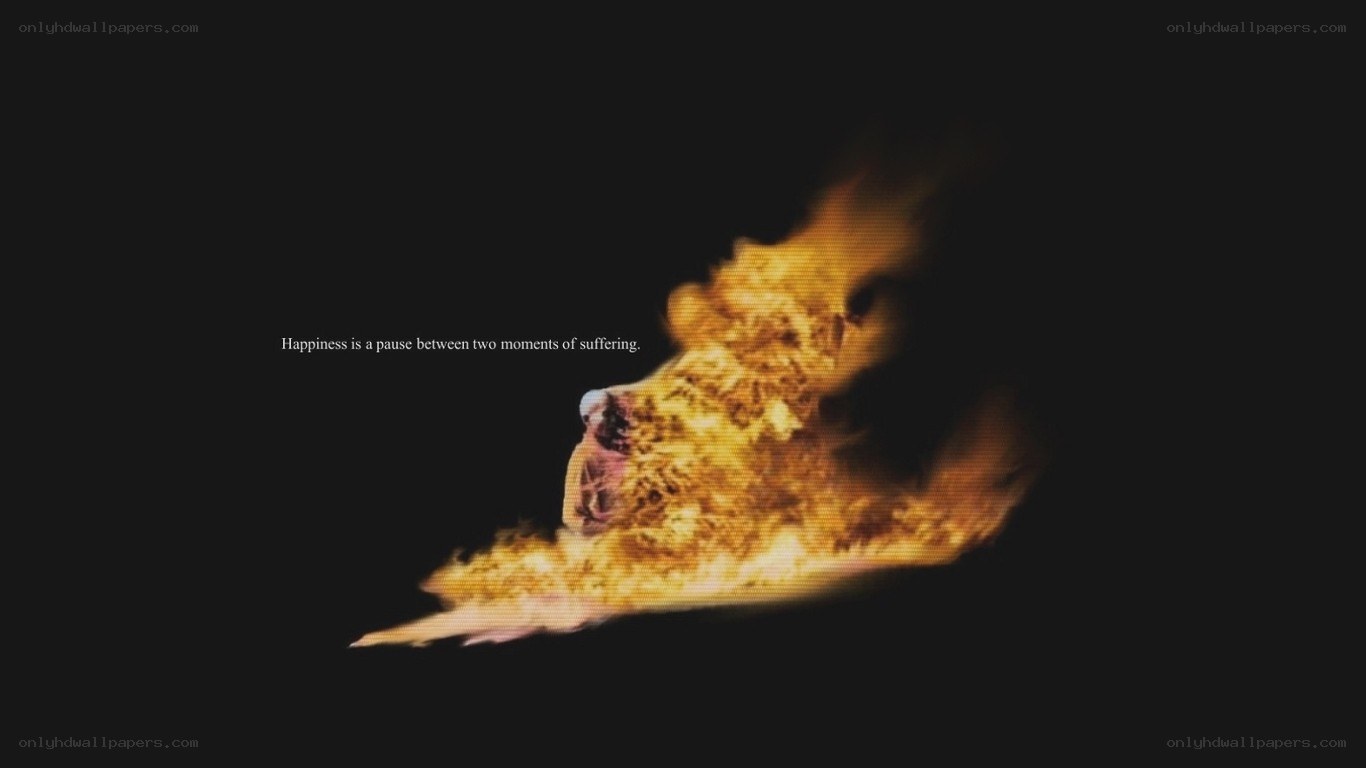 Flame with quote