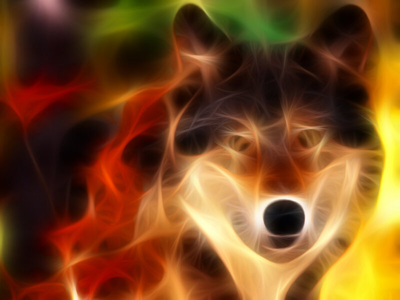 flame wolf abstract art